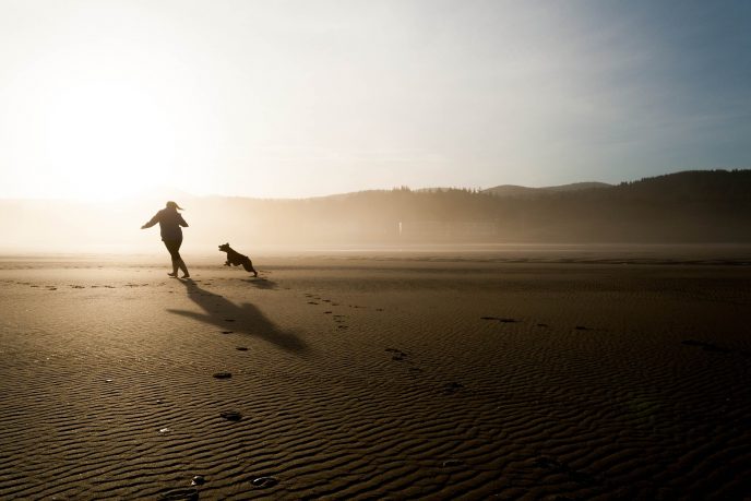 Feriendomizile mit Hund in St. Peter-Ording - Ferienwohnungen und Ferienhäuser für die Herbstferien mit Hund